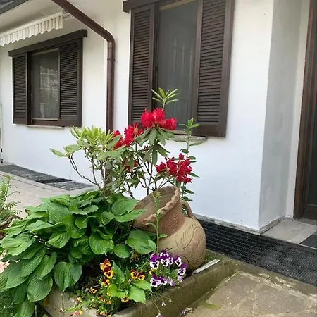 Villa Malpensa Fiera House Marnate